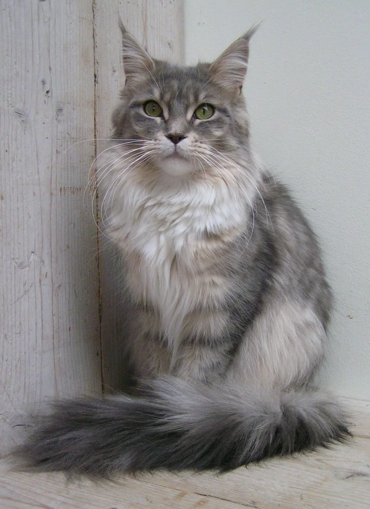 Milenka